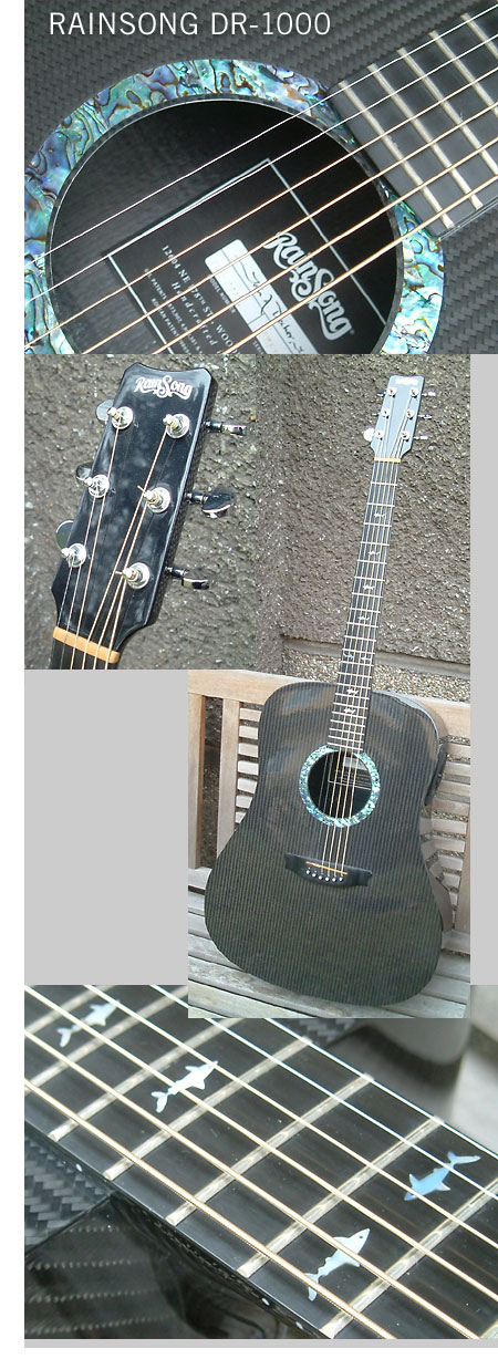 Rainsong DR-1000 / Lefthand