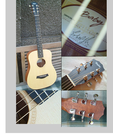 Lefthand Babytaylor / Sapeli, Sitka-Fichte - Abb. folgt schnell!