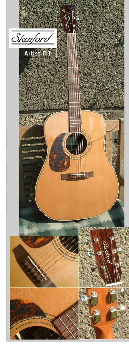 Stanford Artist D 1, Lefthand-Dreadnought